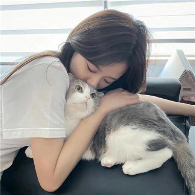 悲惨的追逐