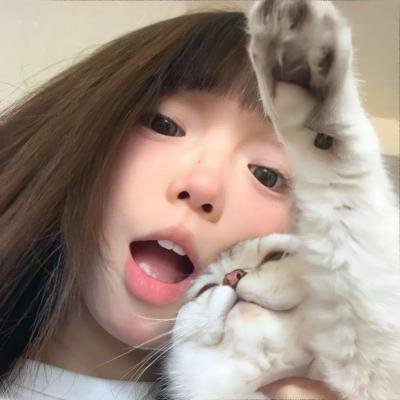 野·良犬